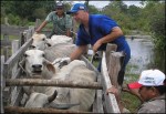 imagem-8-vacinacao-na-calha-do-rio-amazonas