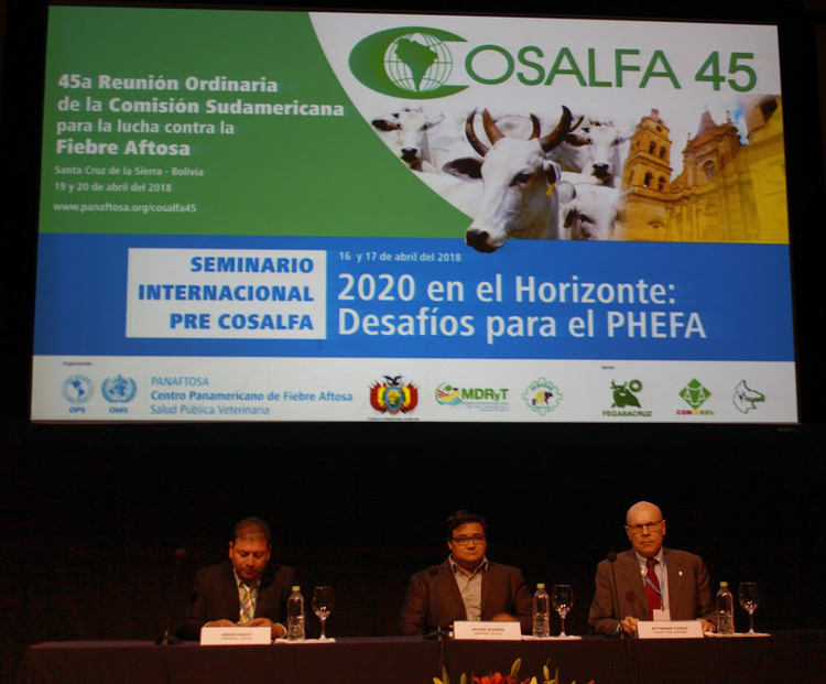 SEMINARIO PRE COSALFA: “2020 en el horizonte: Desafíos para el PHEFA”