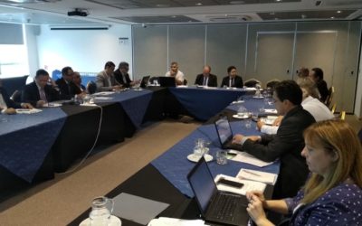 XXV REUNIÓN DE LA COMISIÓN DE SALUD ANIMAL DEL CVP
