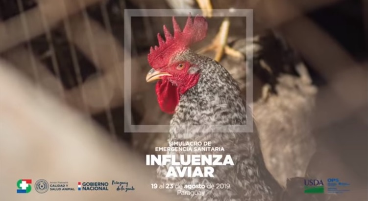 SIMULACRO INFLUENZA AVIAR SENACSA-PARAGUAY