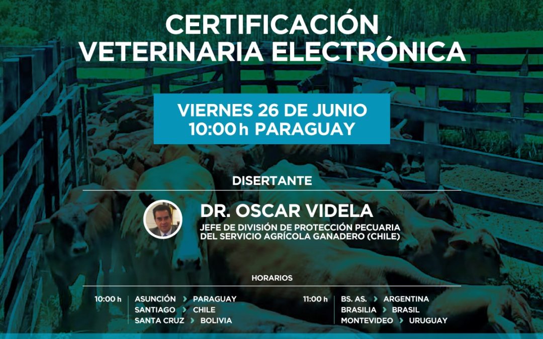 VIDEOCONFERENCIA