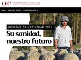 INFORME ACTIVIDADES OIE 2019