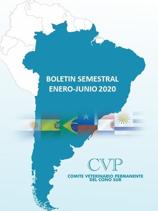 BOLETIN ACTIVIDADES CVP