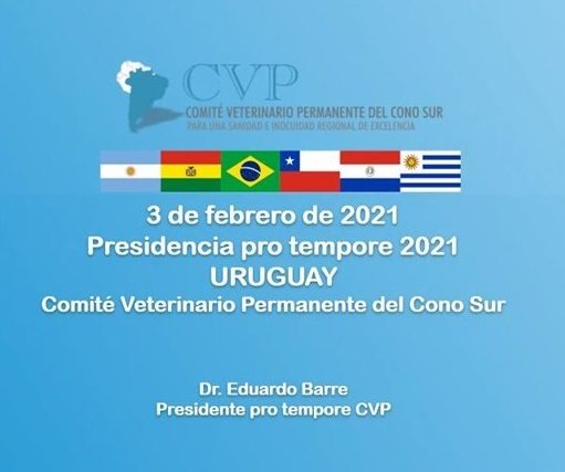 URUGUAY TOMA LA PRESIDENCIA DEL CVP