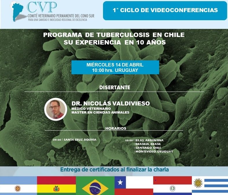 1° CICLO VIDEOCONFERENCIAS 2021 CVP