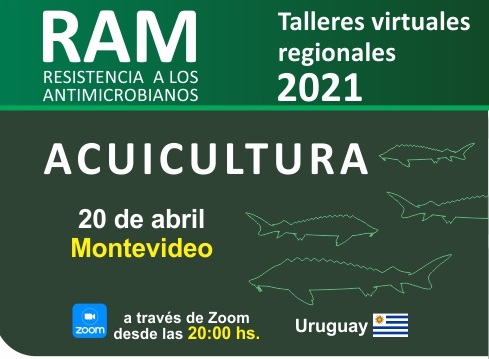 RESISTENCIA ANTIMICROBIANA: problema mundial “Una sola salud”