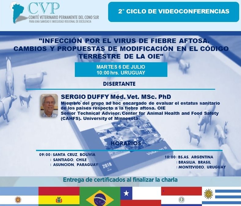 INICIO 2° CICLO VIDEOCONFERENCIAS CVP