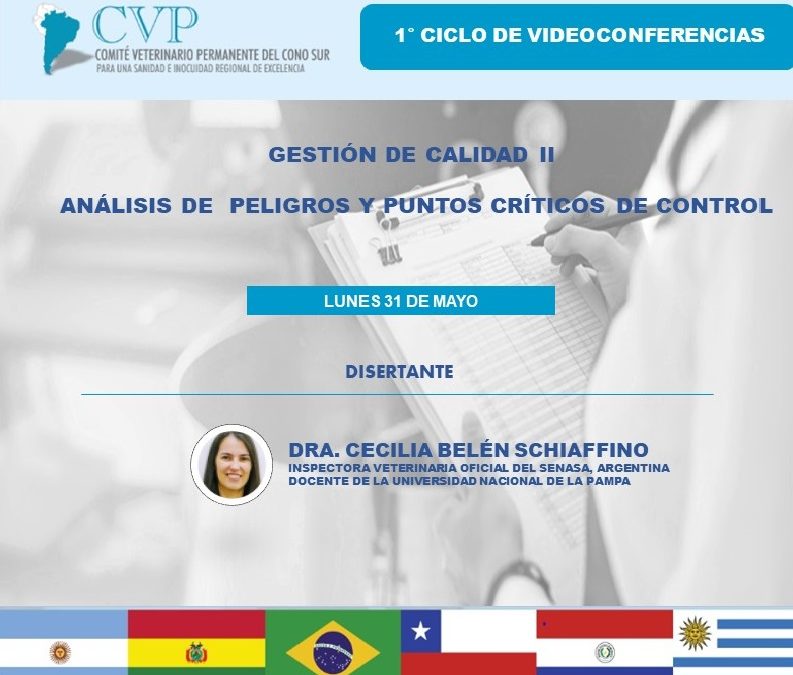 3° VIDEOCONFERENCIA DEL CVP