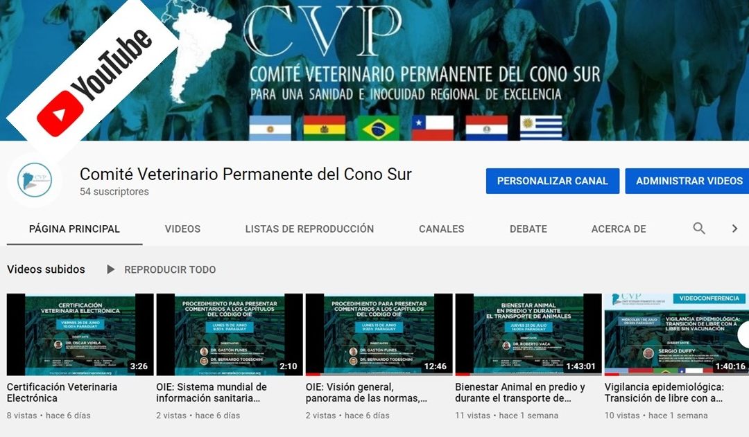 CANAL YOUTUBE DEL CVP