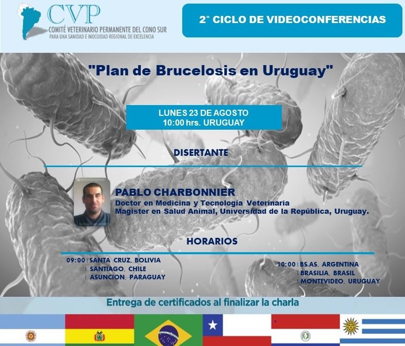 2° CICLO VIDEOCONFERENCIAS CVP