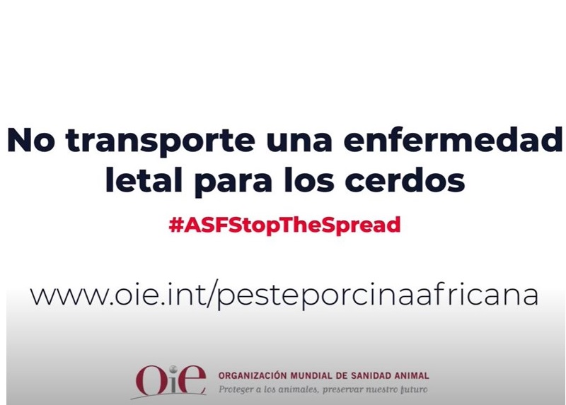 PREVENCIÓN PPA EN VIAJEROS