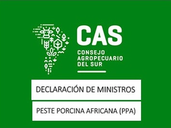 DECLARACIÓN MINISTROS DEL CAS POR PPA