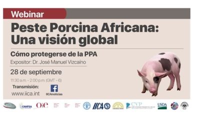 SEMINARIO WEB «CÓMO PROTEGERSE DE LA PPA»