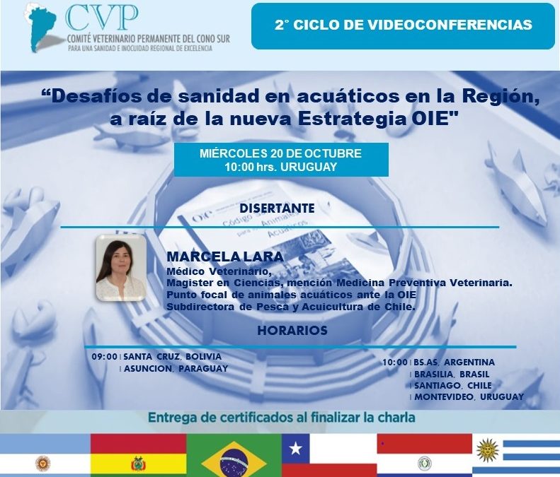 2° CICLO VIDEOCONFERENCIAS CVP