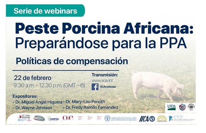 WEBINAR: POLÍTICAS DE COMPENSACIÓN EN PPA
