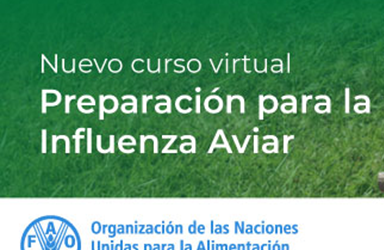 FAO: CURSO DE PREPARACIÓN PARA LA INFLUENZA AVIAR