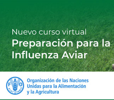 FAO: CURSO DE PREPARACIÓN PARA LA INFLUENZA AVIAR