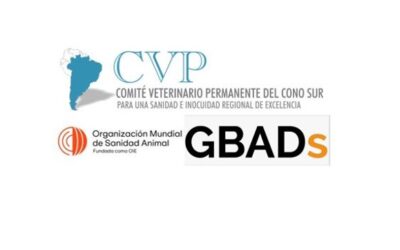 REUNIÓN CVP-GBADs/OMSA