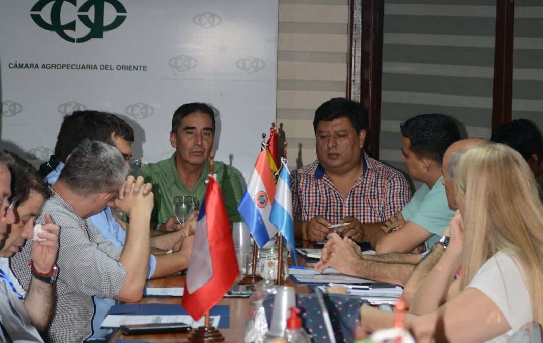 REUNIÓN CONJUNTA CVP Y CSA