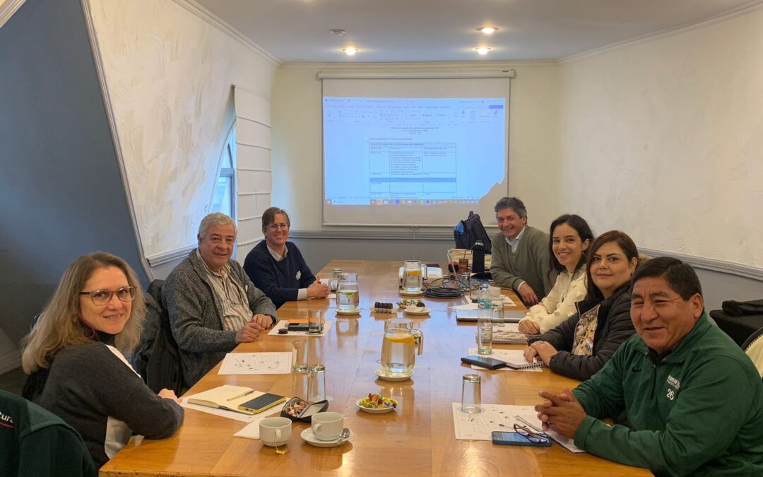 REUNIÓN GRUPO DE TRABAJO APÍCOLA DEL CVP