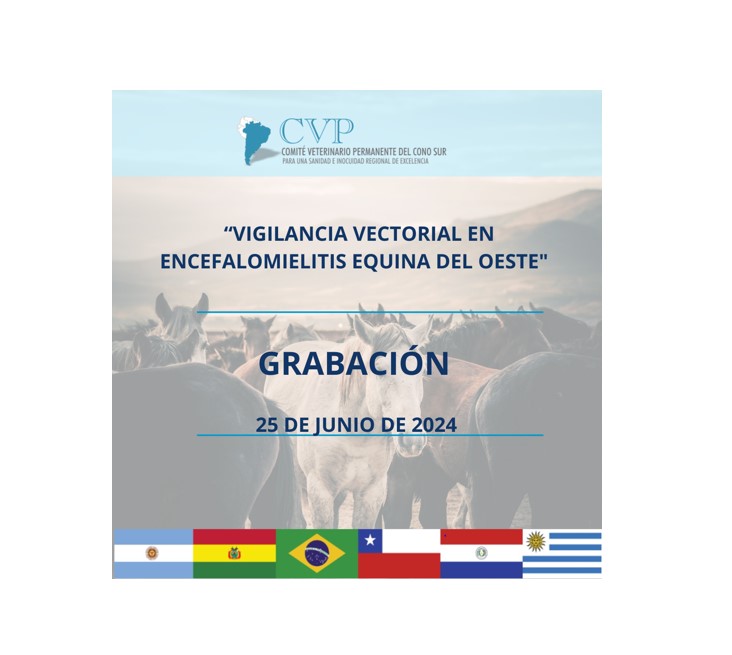 SEMINARIO REGIONAL