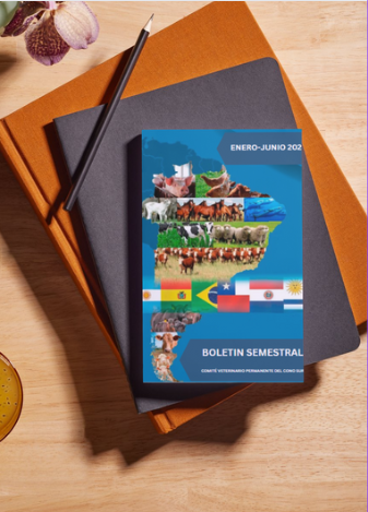 BOLETIN SEMESTRAL ENERO-JUNIO 2024