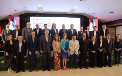 SEMINARIO INTERNACIONAL «SANIDAD E INDUSTRIA PORCINA EN LA REGIÓN»