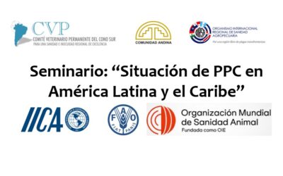 SEMINARIO INTERNACIONAL DE ACTUALIZACIÓN DE LA SITUACIÓN DE PPA: CVP-CAN-OIRSA