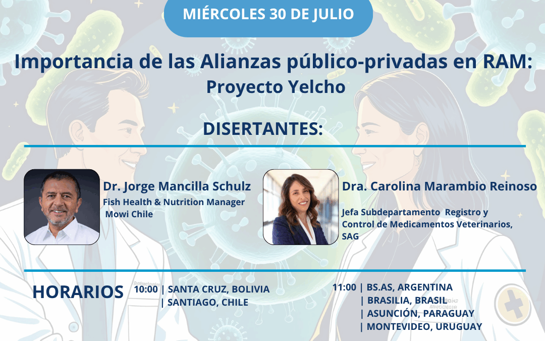 SEMINARIO CVP: Importancia de las Alianzas público-privadas en RAM, Proyecto Yelcho.