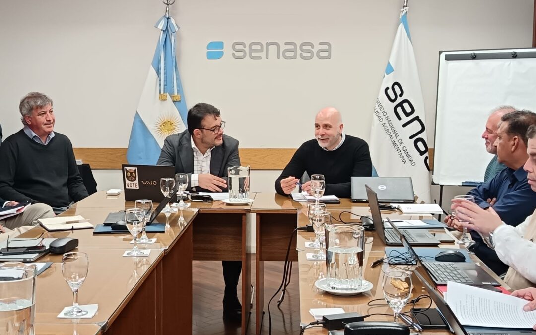 REUNIÓN CVP: ELABORACIÓN DEL PLAN ESTRATÉGICO 2026-2030