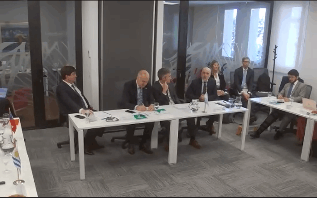 XL REUNIÓN ORDINARIA DEL CONSEJO AGROPECUARIO DEL SUR (CAS)