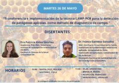 CHARLA TÉCNICA APÍCOLA