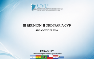 III REUNIÓN, II ORDINARIA CVP, ejercicio 2026